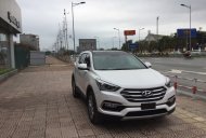 Hyundai Santa Fe CKD 2017 - Bán Hyundai Santa Fe dầu đặc biệt 2017, khuyến mại lên tới gần 100 triệu, đủ màu, giao xe ngay giá 1 tỷ 155 tr tại Hà Nội