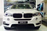 BMW X5 xDrive35i 2017 - Bán BMW X5 xDrive35i 2017, màu trắng, nhập khẩu. Bán xe BMW chính hãng tại Đà Nẵng giá 3 tỷ 788 tr tại Đà Nẵng