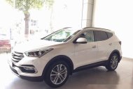 Hyundai Santa Fe Full Option 2017 - Bán Hyundai Santa Fe đời 2017, màu trắng giá 1 tỷ 180 tr tại Gia Lai