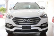 Hyundai Santa Fe 4WD 2017 - Bán Hyundai Santa Fe 2017, giá cực tốt giá 908 triệu tại Bình Thuận  