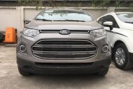 Ford EcoSport Titanium 1.5P AT 2017 - An Đô Ford - Bán Ford Ecosport Titanium - Hỗ trợ trả góp hơn 80% giá trị xe giá 620 triệu tại Thái Nguyên