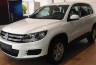 Volkswagen Tiguan 2016 - Gía xe Volkswagen Tiguan rẻ nhất Việt Nam, màu trắng, nhập khẩu nguyên chiếc. Lh: 0978877754 giá 1 tỷ 290 tr tại Bình Dương