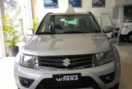 Suzuki Vitara 2015 - Bán ô tô Suzuki Vitara đời 2015, màu bạc, nhập khẩu  giá 800 triệu tại BR-Vũng Tàu