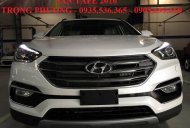 Hyundai Santa Fe 2017 - Bán xe Hyundai Santa Fe đời 2017, màu trắng, nhập khẩu giá 1 tỷ 20 tr tại Quảng Nam