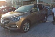 Hyundai Santa Fe 2017 - Cần bán Hyundai Santa Fe đời 2017, màu nâu giá 1 tỷ 240 tr tại Bình Thuận  