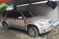 Ford Escape  AT 2009 - Cần bán xe Ford Escape AT năm 2009, màu bạc chính chủ, giá 420tr giá 420 triệu tại Tp.HCM