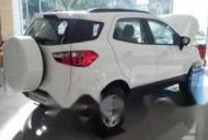 Ford EcoSport 2017 - Bán xe Ford EcoSport đời 2017, màu trắng, giá chỉ 507 triệu giá 507 triệu tại Sơn La