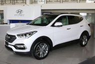 Hyundai Santa Fe 2017 - Hyundai Ninh Thuận_ Hyundai Santafe 2017, giá cực tốt, khuyến mãi cực sốc lên đến 100tr đồng, hỗ trợ vay 80% giá trị xe giá 1 tỷ 55 tr tại Ninh Thuận