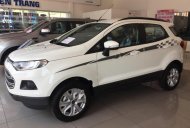 Ford EcoSport Trend 1.5L MT 2017 - Bán ô tô Ford EcoSport Trend 1.5L MT 2017, màu trắng, giá tốt giá 540 triệu tại An Giang