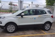 Ford EcoSport Titanium  2017 - Bán Ford EcoSport Titanium sản xuất 2017, màu trắng, nhập khẩu  giá 595 triệu tại Thanh Hóa