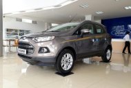 Ford EcoSport Titanium 1.5P AT 2017 - Bán Ford Ecosport Titanium, giá chỉ từ 115tr, L/h: 0962028368 giá 570 triệu tại Lạng Sơn