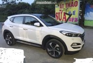 Hyundai Tucson 2017 - Cần bán Hyundai Tucson đời 2017, màu trắng, xe nhập giá 920 triệu tại Gia Lai
