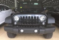 Jeep Wrangler Rubicon 2017 - Bán Jeep Wrangler Rubicon đời 2017, màu đen, xe nhập giá 4 tỷ tại Hà Nội