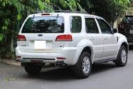 Ford Escape 2010 - Cần bán Ford Escape đời 2010, màu trắng, giá cạnh tranh giá 450 triệu tại Tiền Giang