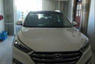 Hyundai Tucson 2016 - Cần bán xe Hyundai Tucson đời 2016, màu trắng xe gia đình, giá 920tr giá 920 triệu tại Khánh Hòa