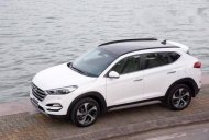 Hyundai Tucson   2017 - Bán Hyundai Tucson đời 2017, màu trắng giá 815 triệu tại Kiên Giang