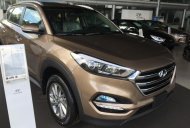 Hyundai Tucson 2.0 2017 - Bán Hyundai Tucson 2.0 máy xăng, bản tiêu chuẩn đời 2017, màu nâu tại Đắk Lắk giá 765 triệu tại Đắk Lắk