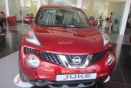 Nissan Juke 1.6 CVT 2016 - Bán Nissan Juke 2016, xe nhập Anh giá có thể giảm nữa liên hệ ngay giá 1 tỷ tại Hà Nội