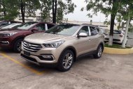 Hyundai Santa Fe 2018 - Cần bán xe Hyundai Santa Fe đời 2018 - đầy đủ khuyến mại, xe giao ngay, liên hệ Thành Trung: 0941.367.999 giá 1 tỷ 65 tr tại Bắc Giang