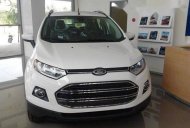 Ford EcoSport    2017 - Bán Ford EcoSport sản xuất 2017, màu trắng giá 570 triệu tại Quảng Nam