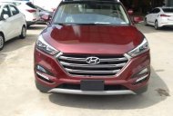 Hyundai Tucson 2017 - Bán xe Hyundai Tucson đời 2017, màu đỏ, xe nhập, giá tốt giá 980 triệu tại An Giang