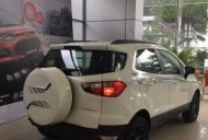Ford EcoSport    2017 - Cần bán xe Ford EcoSport 2017, màu trắng giá 570 triệu tại Nghệ An