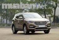 Hyundai Santa Fe 2017 - Bán xe Hyundai Santa Fe đời 2017, màu nâu, nhập khẩu  giá 1 tỷ 50 tr tại Đắk Nông