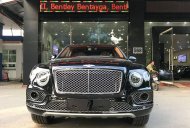 Bentley First Edition 2017 - Bán Bentley Bentayga First Edition đời 2017, màu đen, xe nhập khẩu nguyên chiếc giá 9 tỷ 800 tr tại Hà Nội