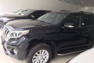 Toyota Prado 2016 - Cần bán xe Toyota Prado đời 2016, màu đen, nhập khẩu nguyên chiếc giá 3 tỷ 760 tr tại Hà Nội