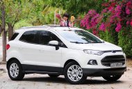 Ford EcoSport Titanium 2016 - Giá sốc tại Thanh Hóa xe Ford EcoSport đời 2017, đủ màu giá 630 triệu tại Thanh Hóa