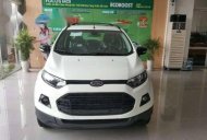 Ford EcoSport Titanium 2017 - Cần bán xe Ford EcoSport Titanium đời 2017, màu trắng, giá 590tr giá 590 triệu tại Quảng Nam