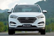 Hyundai Tucson 2017 - Bán Hyundai Tucson đời 2017, màu trắng, 870tr giá 870 triệu tại Quảng Ngãi