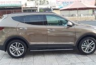 Hyundai Santa Fe 2017 - Cần bán xe Hyundai Santa Fe năm 2017, nhập khẩu chính hãng giá 1 tỷ 110 tr tại Bình Thuận  