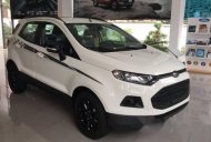 Ford EcoSport   2017 - Bán ô tô Ford EcoSport đời 2017, màu trắng   giá 585 triệu tại Gia Lai