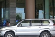 Toyota Prado GX 2004 - Bán Toyota Prado GX đời 2004, màu bạc, nhập khẩu nguyên chiếc giá 800 triệu tại Hà Nội