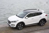 Hyundai Tucson   2017 - Bán xe Hyundai Tucson đời 2017, màu trắng, giá chỉ 890 triệu giá 890 triệu tại Bình Thuận  