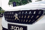 Peugeot 3008 2017 - Cần bán xe Peugeot 3008 đời 2017, nhập khẩu giá 1 tỷ 110 tr tại Bình Thuận  