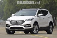 Hyundai Santa Fe 2017 - Bán ô tô Hyundai Santa Fe đời 2017, màu trắng, nhập khẩu nguyên chiếc, giá tốt giá 880 triệu tại Quảng Ngãi