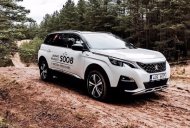 Peugeot 5008 2017 - Bán xe Peugeot 5008 đời 2017, màu trắng, nhập khẩu giá 1 tỷ 450 tr tại Bắc Kạn
