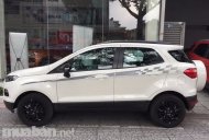Ford EcoSport 2017 - Bán xe Ford EcoSport đời 2017, màu trắng, nhập khẩu chính hãng giá 200 triệu tại Cà Mau