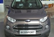 Ford EcoSport Titanium 1.5L AT 2018 - Bán xe Ford EcoSport 2018 1.5L 1.0 (xe cao cấp). Giá xe chưa giảm. Liên hệ nhận giá xe rẻ nhất 093.114.2545 -097.140.7753 giá 545 triệu tại Quảng Ngãi