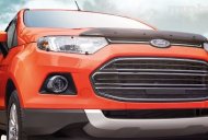 Ford EcoSport 2017 - Cần bán xe Ford EcoSport đời 2017, nhập khẩu nguyên chiếc, giá chỉ 555 triệu giá 555 triệu tại Bình Phước