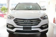 Hyundai Santa Fe 2.2   2017 - Cần bán Hyundai Santa Fe 2.2 xăng đặc biệt, nhập khẩu 100% linh kiện, giá 1 tỷ 250 triệu đồng giá 1 tỷ 250 tr tại An Giang