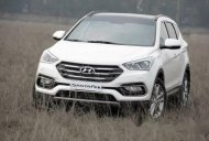 Hyundai Santa Fe 2017 - Cần bán xe Hyundai Santa Fe đời 2017, màu trắng giá 1 tỷ 30 tr tại Hậu Giang