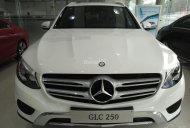 Mercedes-Benz Smart Glc 250  2016 - Bán xe Mercedes GLC 250 đời 2017 đủ màu, xe giao ngay nhiều quà tặng giá 1 tỷ 789 tr tại Bình Định