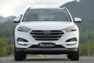 Hyundai Tucson 2017 - Cần bán xe Hyundai Tucson 2017, màu trắng, nhập khẩu nguyên chiếc giá 760 triệu tại Bắc Giang