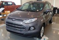 Ford EcoSport 2016 - Cần bán xe Ford EcoSport đời 2016, giá chỉ 530 triệu giá 530 triệu tại An Giang