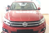 Volkswagen Tiguan 2017 - Bán Volkswagen Tiguan đời 2017, màu đỏ, xe nhập khẩu nguyên chiếc giao ngay - LH 0965.156.561 giá 1 tỷ 290 tr tại Hà Nội