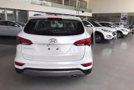 Hyundai Santa Fe 2017 - Bán Hyundai Santa Fe đời 2017, màu trắng  giá 898 triệu tại Gia Lai
