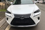 Lexus NX 300 2017 - Bán Lexus NX đời 2017 màu trắng, xe nhập giao ngay quý khách hàng, LH: 0982156767 giá 2 tỷ 439 tr tại Hà Nội